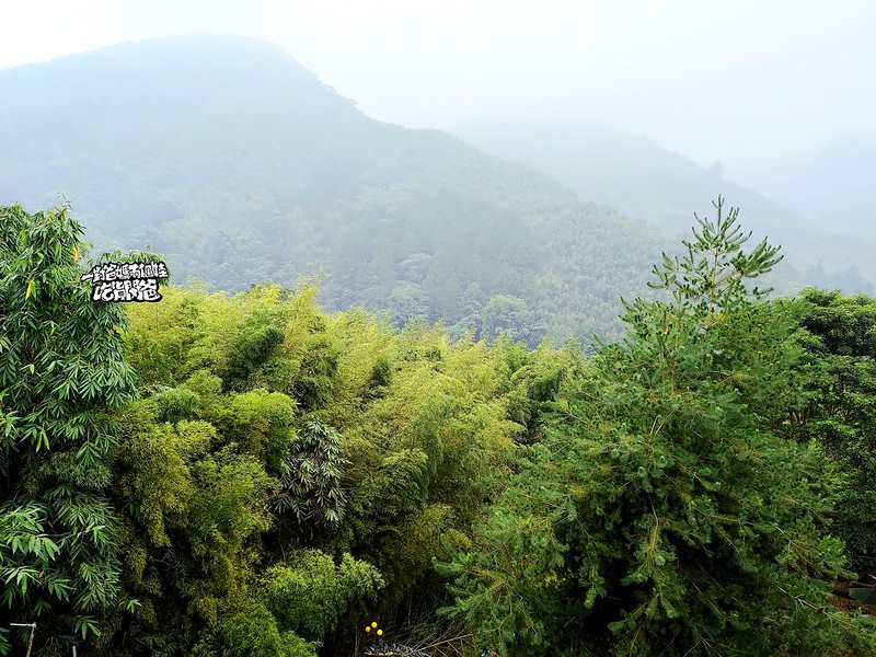 南投。金台灣山莊