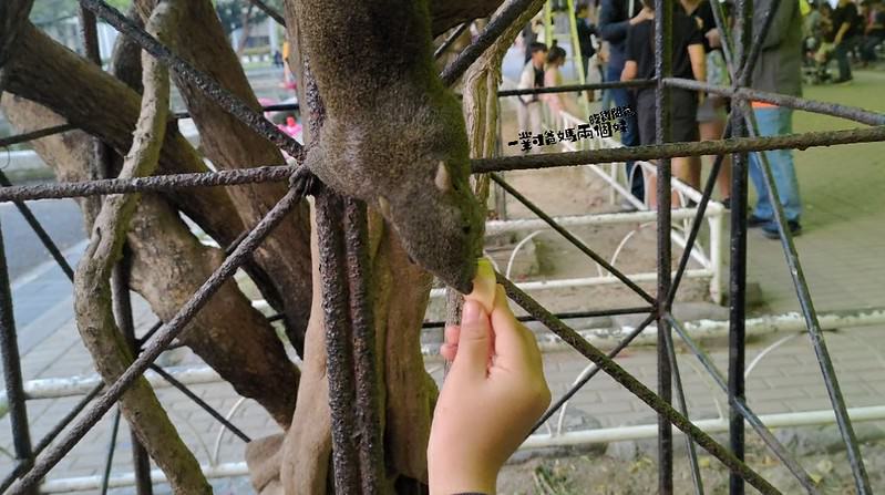 屏東聖誕節2019。屏東公園