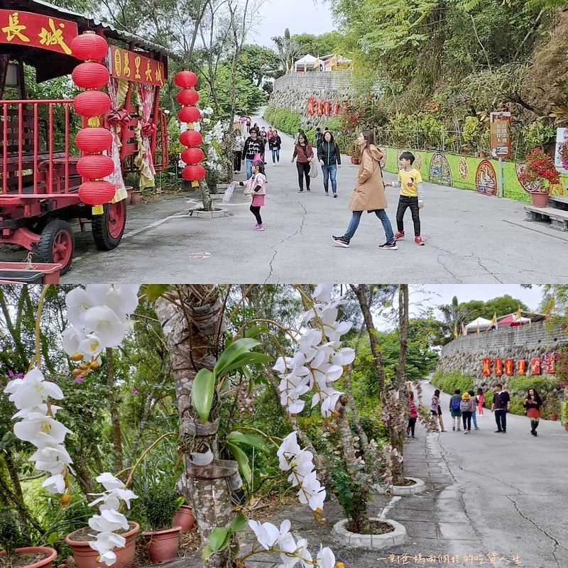 台南親子 旅遊 觀光景點 白河。台灣萬里長城