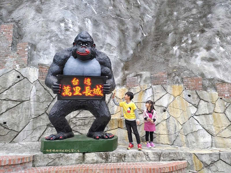 台南親子 旅遊 觀光景點 白河。台灣萬里長城