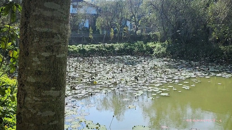 台南玉井景點美食  三千院 白色教堂