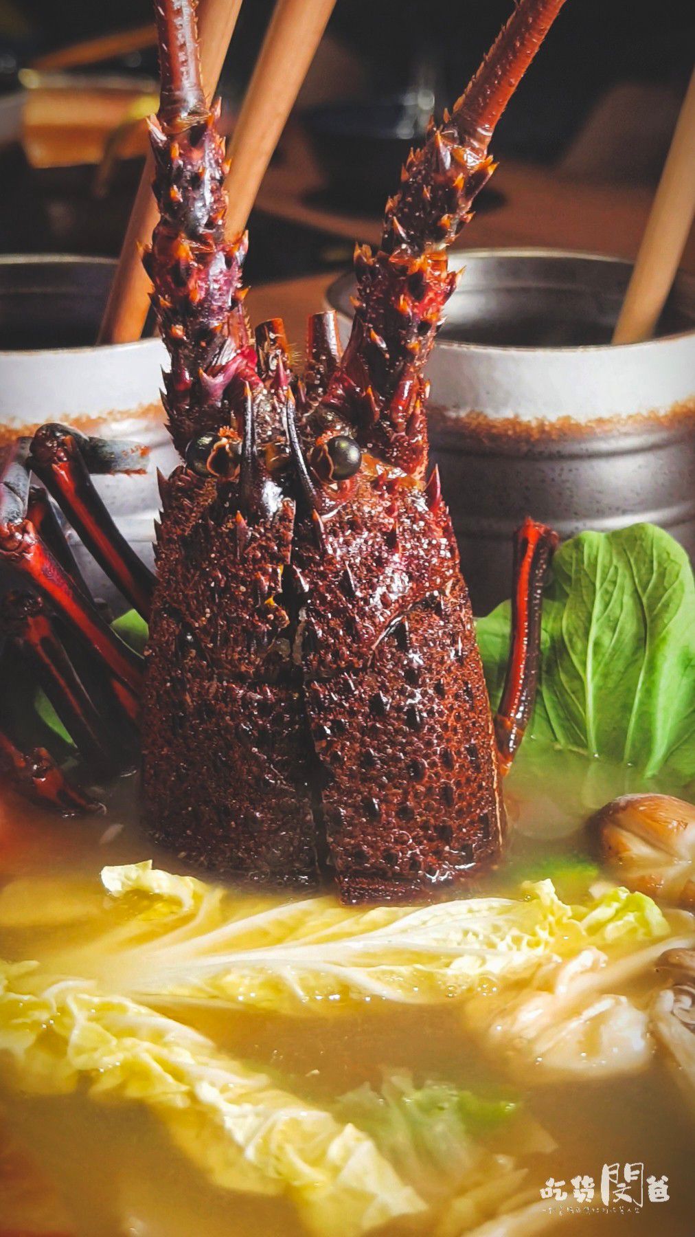仲板前鍋物│高雄前金│一鍋入魂！巷弄隱藏版！超狂雜炊龍蝦鍋、午間限定甜甜價鍋物，一吃愛上！