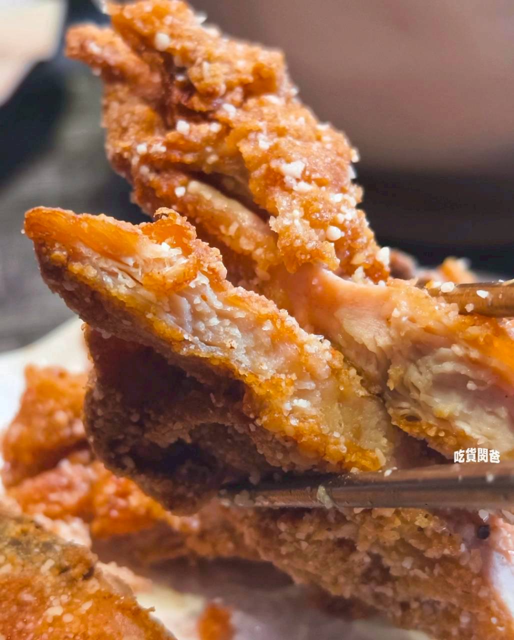 胖達鍋燒|高雄大社,鍋燒不是最強!但好吃,顛覆你認知的鍋燒麵,吃過嗎? - 第33張圖