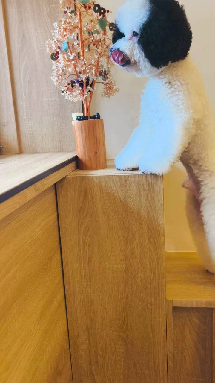 豐闔家開伙燒肉餐盒民權店｜高雄苓雅｜隱藏巷弄的好味道，主菜狂、配菜讚，會愛上！