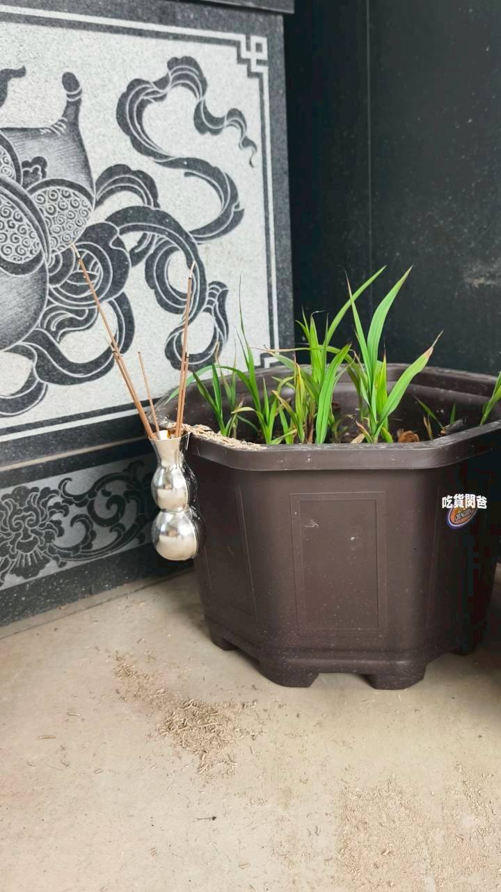 高雄大樹朝天宮|銀同媽祖讓我在質樸中找到生活的庇護、安定的力量 - 第25張圖