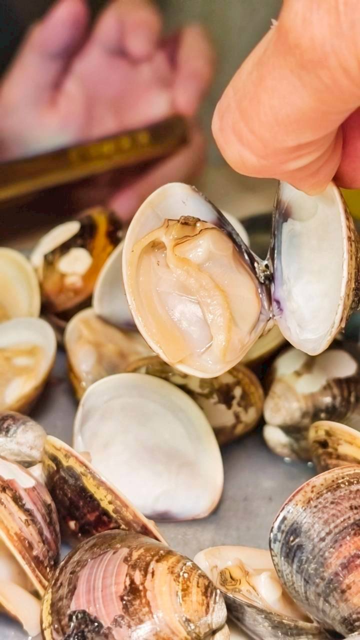 久久熱炒｜台南東區｜冰淇淋吃到飽的ＣＰ熱炒店，眾多台菜讓你爽爽吃！