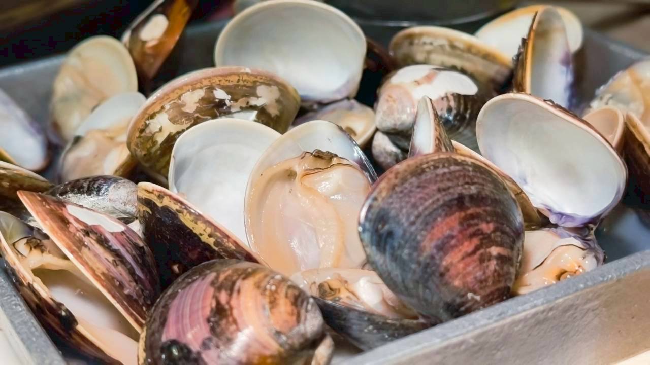 久久熱炒｜台南東區｜冰淇淋吃到飽的ＣＰ熱炒店，眾多台菜讓你爽爽吃！