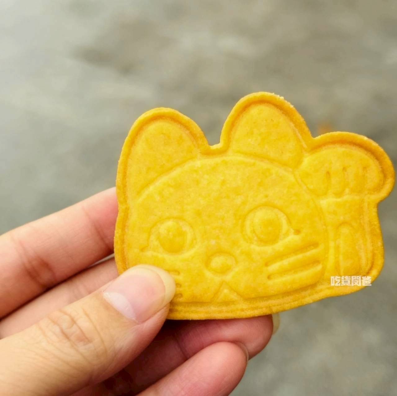 太麻里福興宮｜台東太麻里，招財貓參上！土地公加持！原來！宗教也能如此熱血青春！