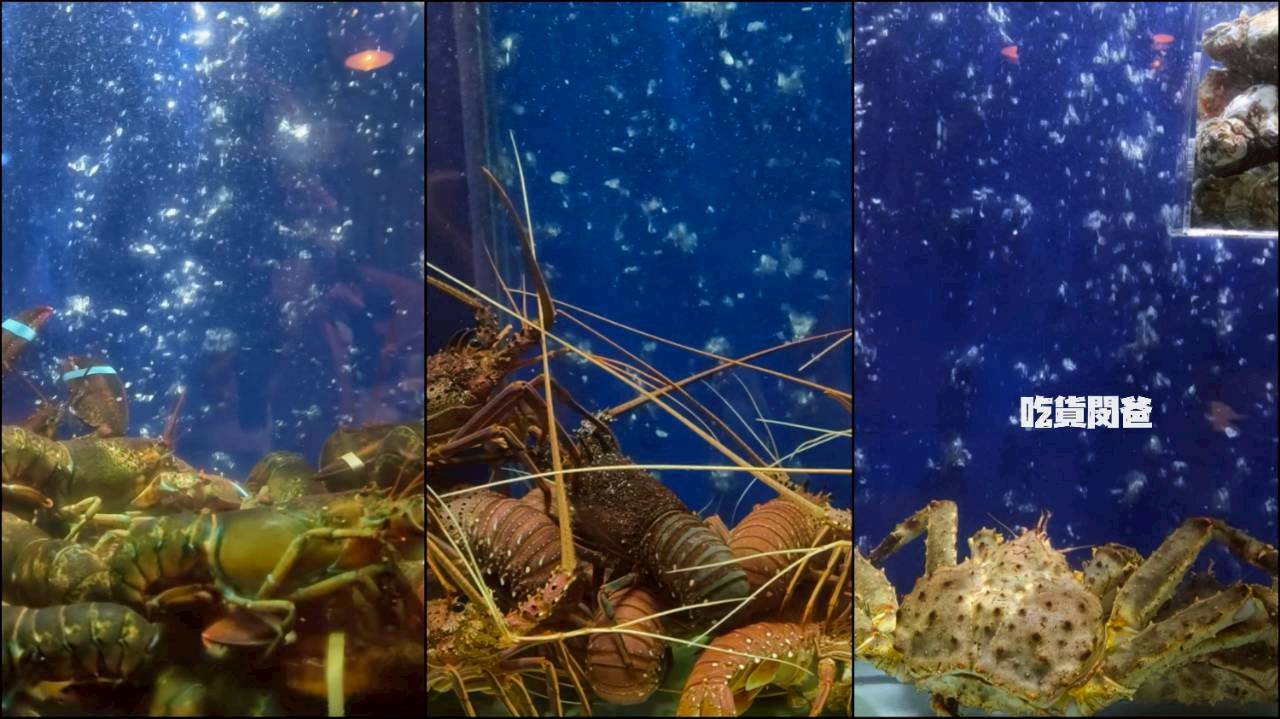 銅花涮涮鍋｜高雄左營，火鍋界的LV，前菜吃到主菜，老饕級的口感，一吃愛上！